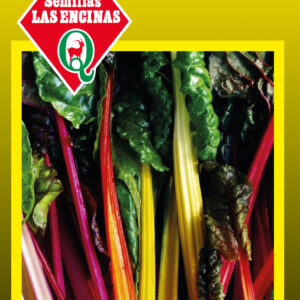Acelga de colores AGOTADO