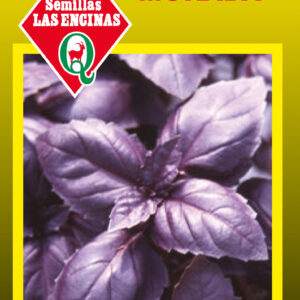 Albahaca Morada