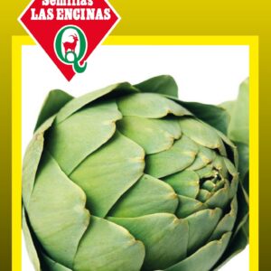 Alcachofa