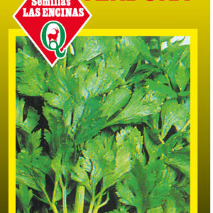 Apio Verdura