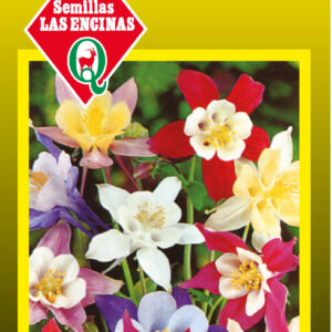 Aquilegia