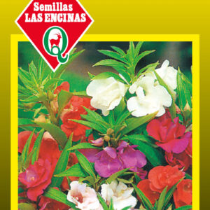 Balsamina