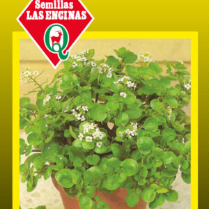 Berros