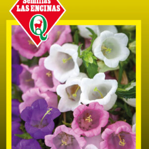 Campanula (farolito)