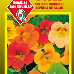 Capuchina (espuela de galán)