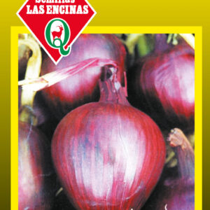 Cebolla Morada
