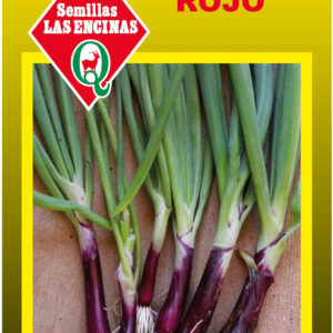 Cebollín Rojo