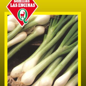 Cebollín