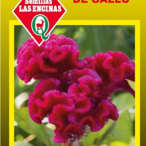 Celosía Cresta de Gallo