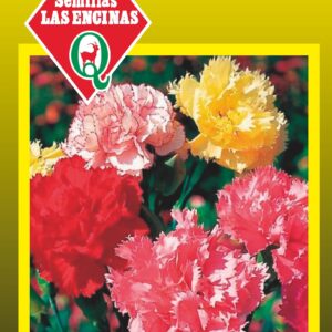 Clavel