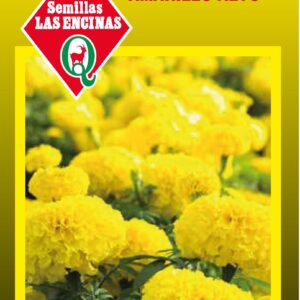 Clavelón Alto