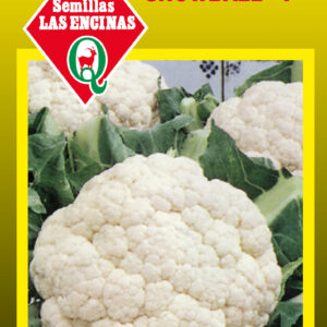 Coliflor AGOTADO