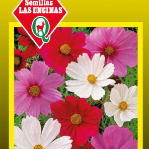 Cosmos Sensación
