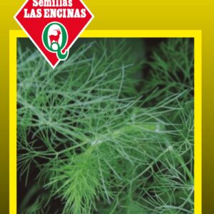 Eneldo