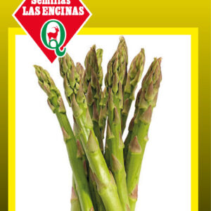 Espárrago AGOTADO