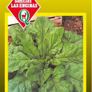Espinaca