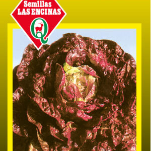 Lechuga Morada