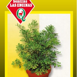 Ruda