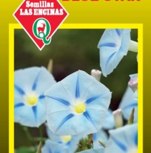 Suspiro Blue Star