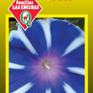 Suspiro Fuji